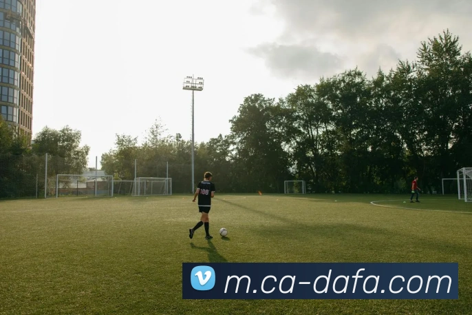 大发彩票发展历程